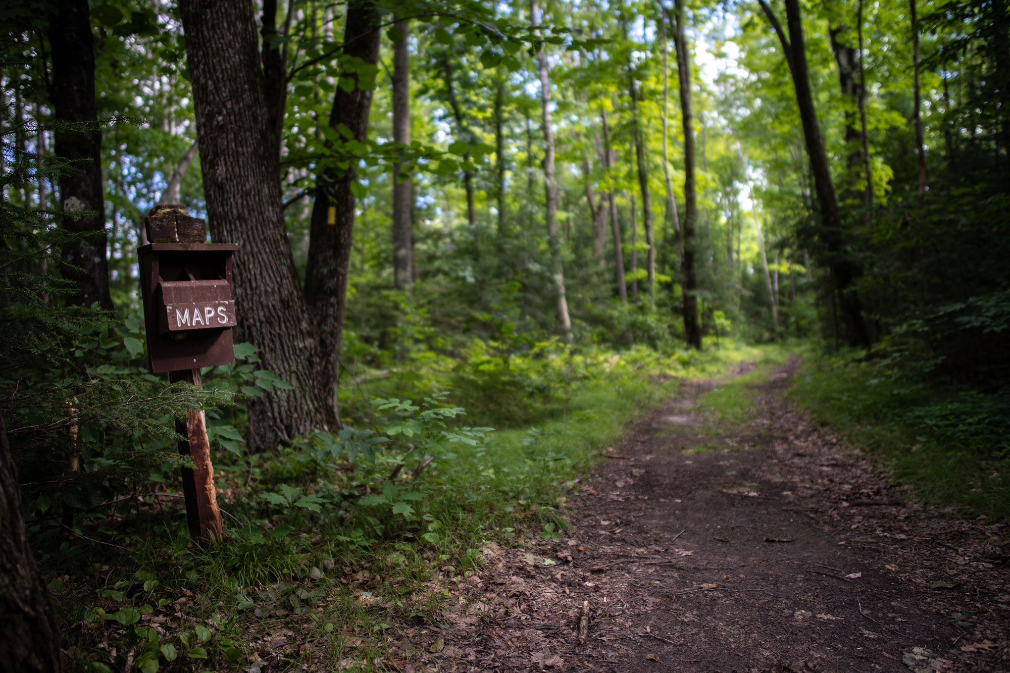 Maps in the woods