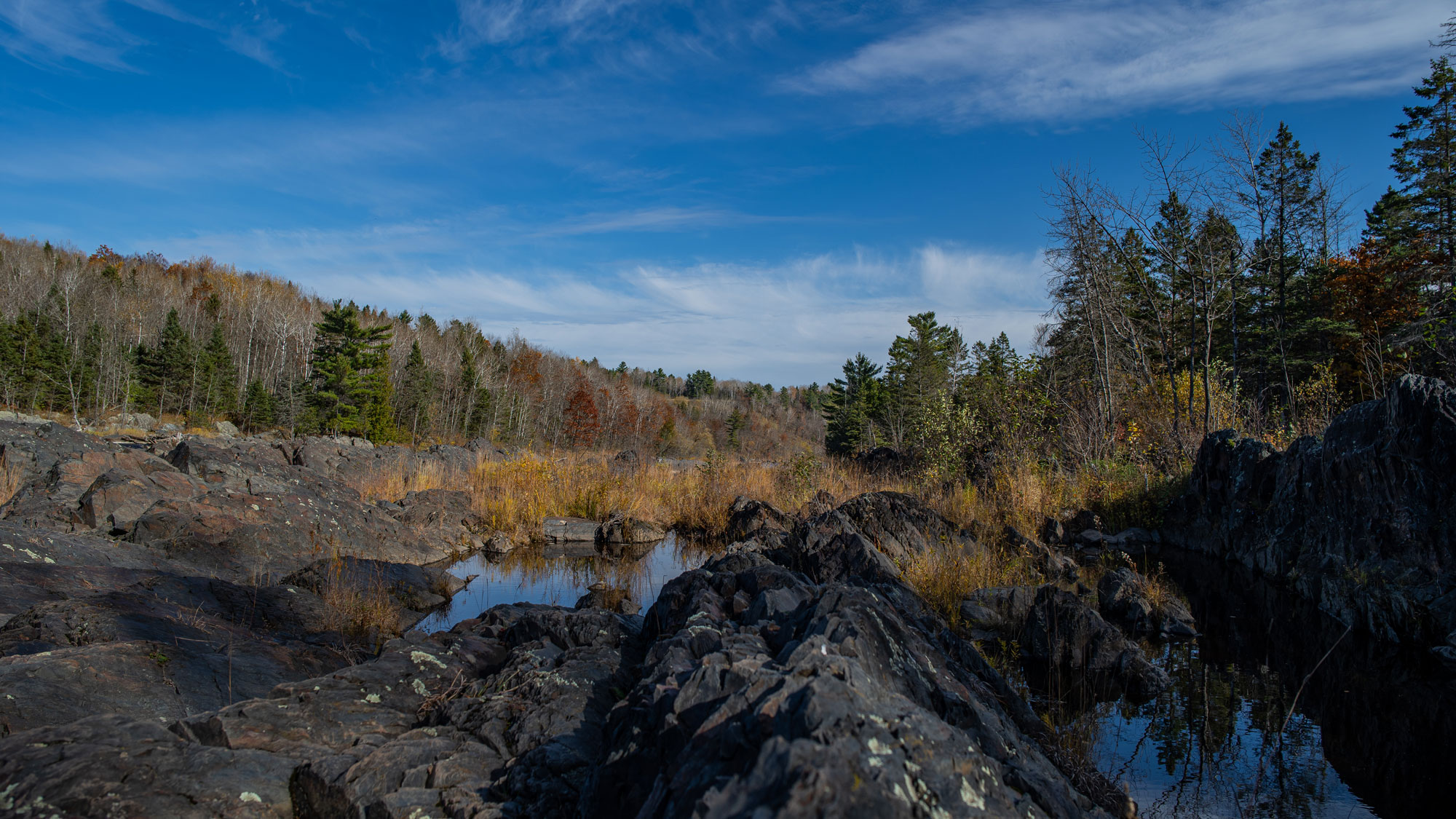 Forest Lake Rocks