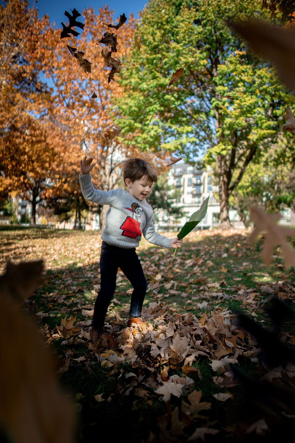 Boy playing in leaves