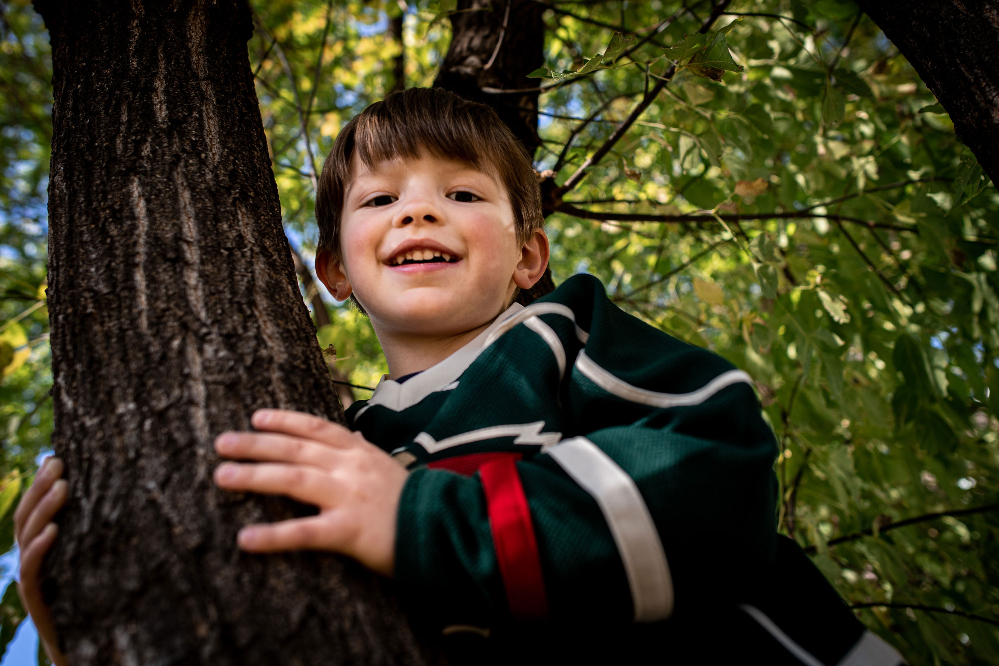 Boy in a tree