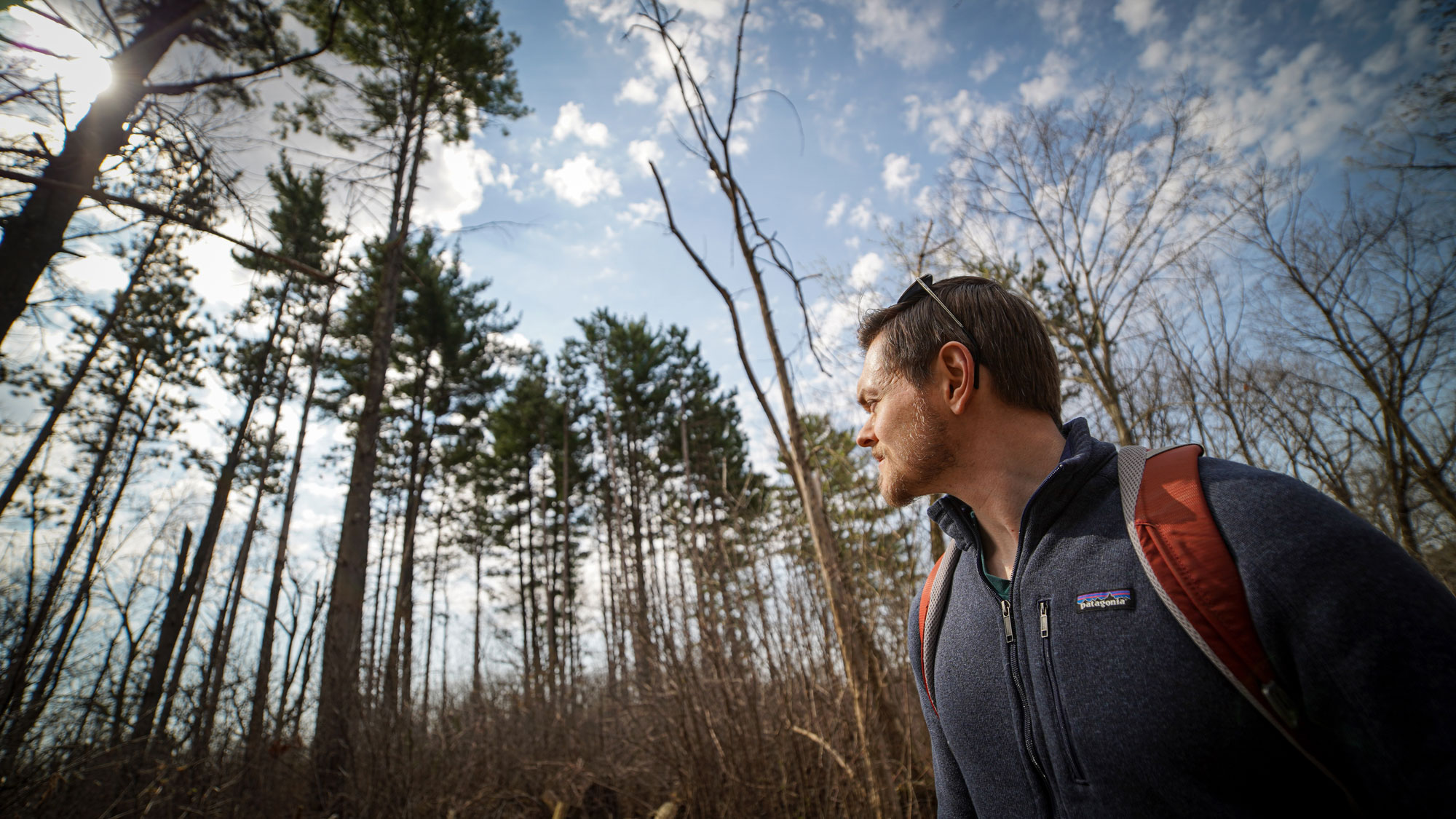 Man looking in forest