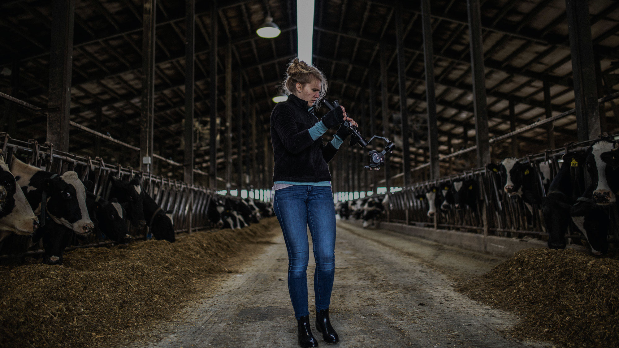 Melanie in a barn with cows